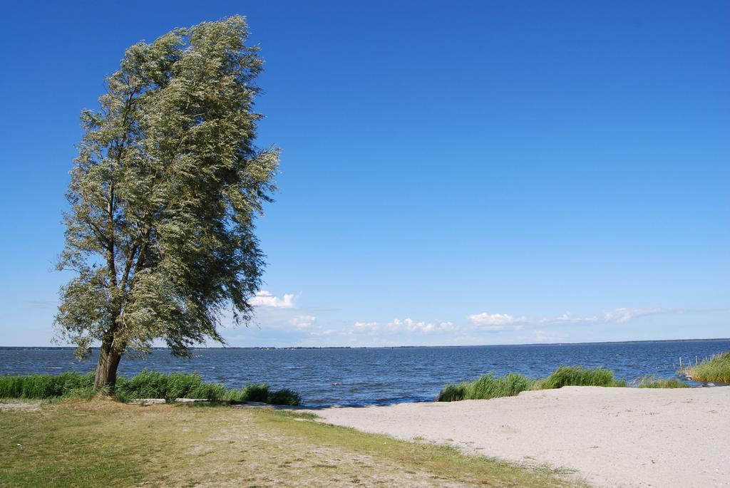 Вилла Ferienhaus In Bartelshagen II Hessenburg Экстерьер фото